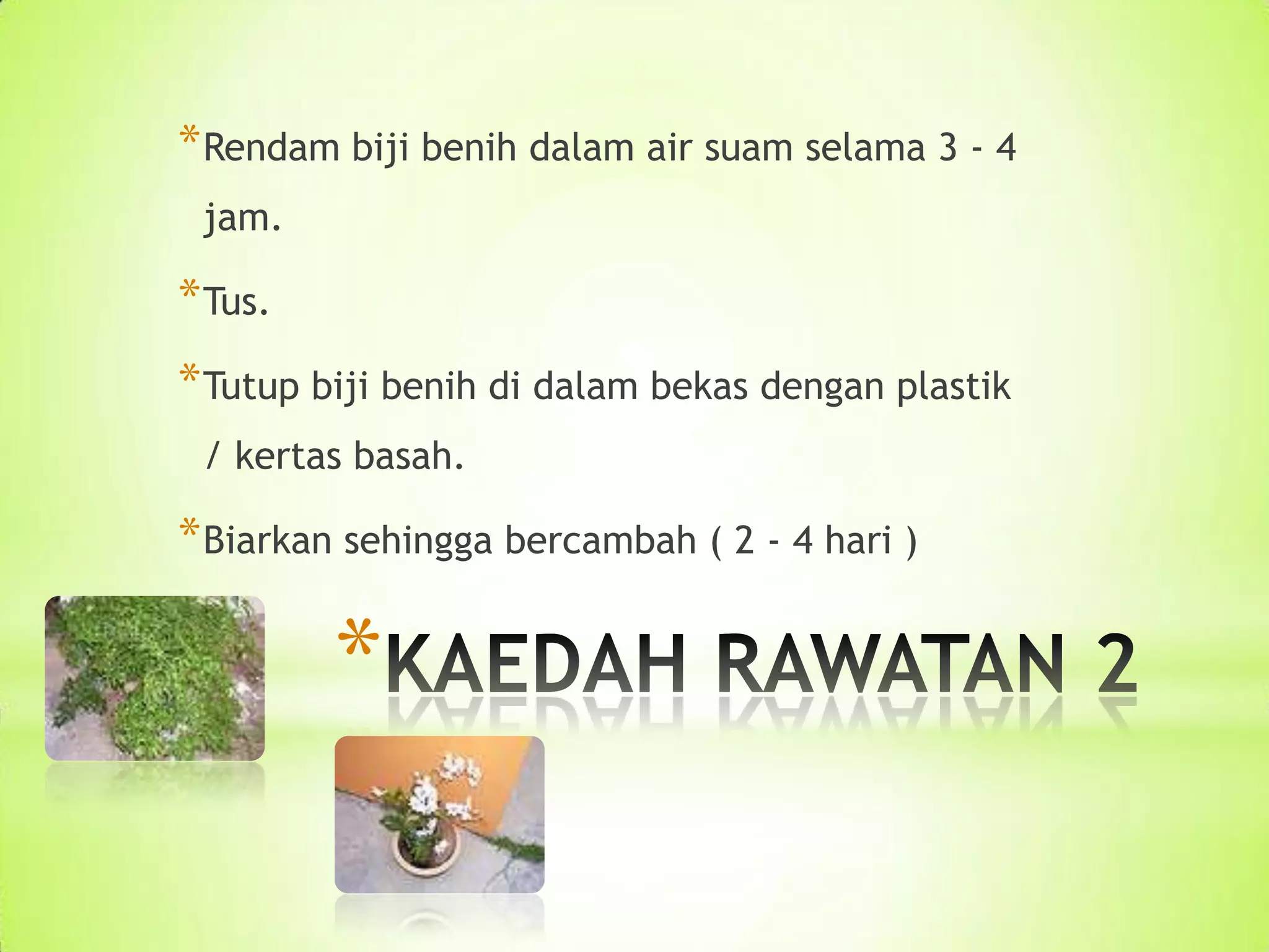 * Rendam biji benih dalam air suam selama 3 - 4
jam.
* Tus.
* Tutup biji benih di dalam bekas dengan plastik
/ kertas basah.
* Biarkan sehingga bercambah ( 2 - 4 hari )
*