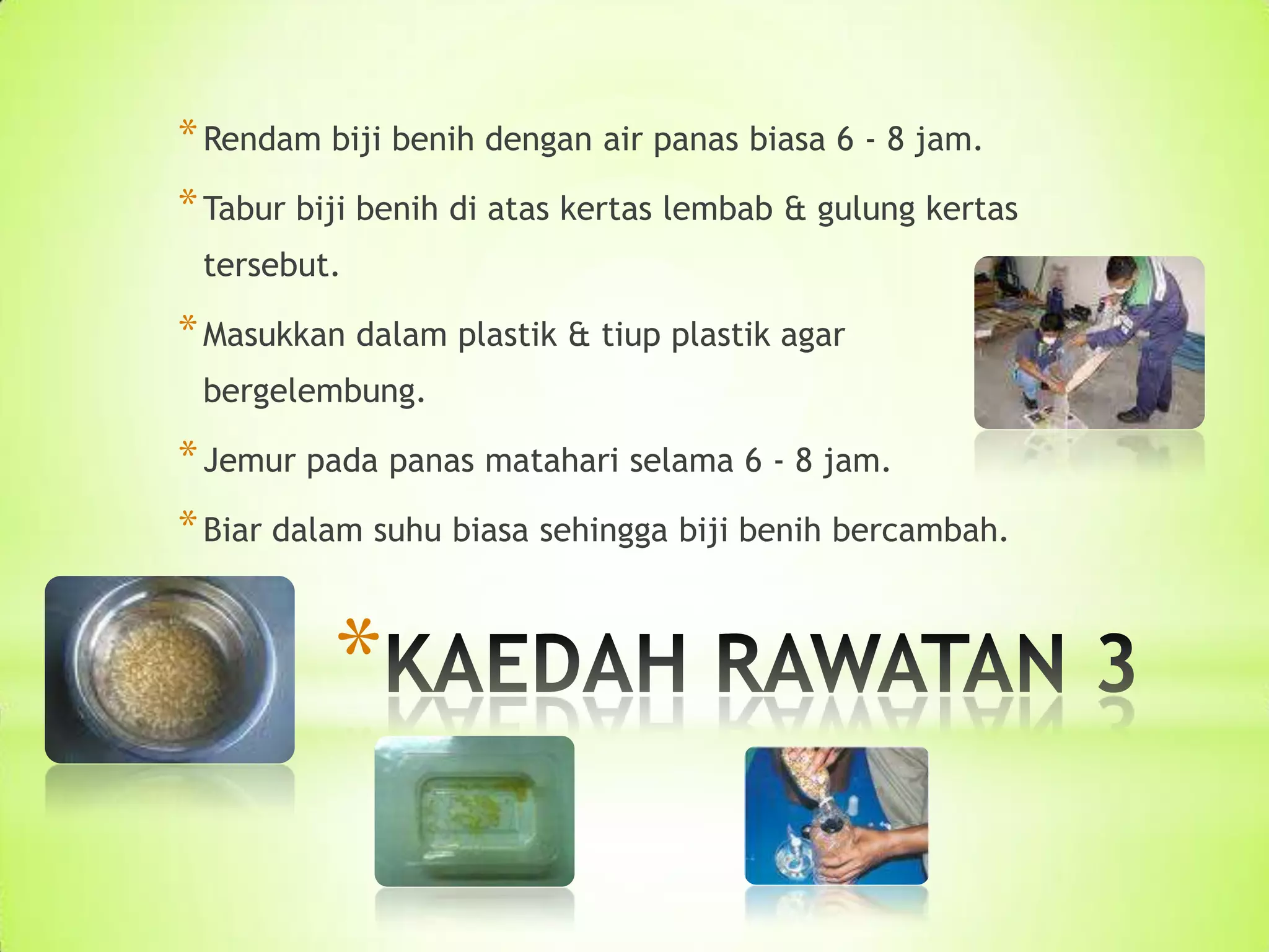 * Rendam biji benih dengan air panas biasa 6 - 8 jam.
* Tabur biji benih di atas kertas lembab & gulung kertas
tersebut.
* Masukkan dalam plastik & tiup plastik agar
bergelembung.
* Jemur pada panas matahari selama 6 - 8 jam.
* Biar dalam suhu biasa sehingga biji benih bercambah.
*