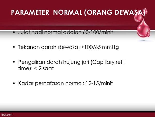 Rawatan perdarahan