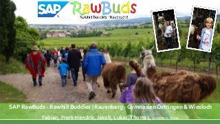 SAP RawBuds - Rawhill Buddies | Rauenberg - Gymnasien Östringen & Wiesloch
Fabian, Frerk-Hendrik, Jakob, Lukas,Thomas, Johannes, Anna
 