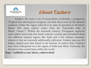 About CashewAbout Cashew
Cashew, the seed or nut of ancacardium occidentale, a polygamus
Tropical and sub-tropical evergreen was first discovered by the Spanish
explorers within the region referred to as state of maranhao in Northern
Brazil. The name cashew comes from the Tupi-India tribe of
Brazil "acaju". Within the sixteenth century, Portuguese explorers
took cashew trees from this South America country and introduced them
into different tropical regions like India and a few African countries,
wherever they are currently additionally cultivated.  Cashew nuts are of a
kidney shaped seed that found in the bottom of cashew fruit. Cashews
have been widespread over the region of India and Africa. Currently the
foremost wide created bean within the world.
http://aadhishiva.com/about_cashews.html
 