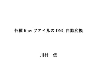 各種 Raw ファイルの DNG 自動変換
川村　信
 