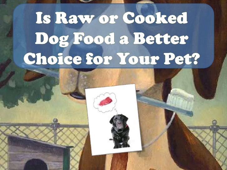 Raw Dog Food Vs. Processed Dog Food