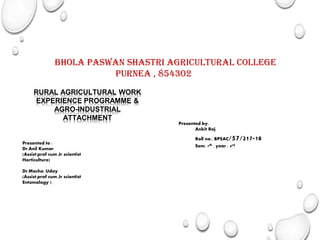 Bhola Paswan Shastri agricultural College
purnea , 854302
RURAL AGRICULTURAL WORK
EXPERIENCE PROGRAMME &
AGRO-INDUSTRIAL
ATTACHMENT
Presented to :
Dr.Anil Kumar
(Assist.prof cum Jr scientist
Horticulture)
Dr.Macha .Uday
(Assist.prof cum Jr scientist
Entomology )
Presented by:
Ankit Raj
Roll no.: BPSAC/57/217-18
Sem: 7th , year : 4rd
 