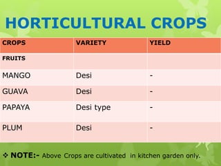 HORTICULTURAL CROPS
CROPS VARIETY YIELD
FRUITS
MANGO Desi -
GUAVA Desi -
PAPAYA Desi type -
PLUM Desi -
 NOTE:- Above Crops are cultivated in kitchen garden only.
 