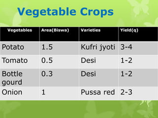 Vegetable Crops
Vegetables Area(Biswa) Varieties Yield(q)
Potato 1.5 Kufri jyoti 3-4
Tomato 0.5 Desi 1-2
Bottle
gourd
0.3 Desi 1-2
Onion 1 Pussa red 2-3
 