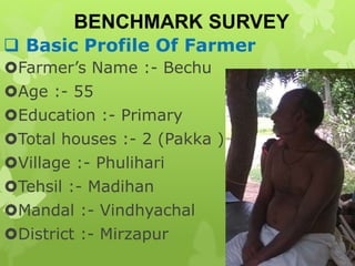  Basic Profile Of Farmer
Farmer’s Name :- Bechu
Age :- 55
Education :- Primary
Total houses :- 2 (Pakka )
Village :- Phulihari
Tehsil :- Madihan
Mandal :- Vindhyachal
District :- Mirzapur
BENCHMARK SURVEY
 