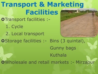 Transport & Marketing
Facilities
Transport facilities :-
1. Cycle
2. Local transport
Storage facilities :- Bins (3 quintal),
Gunny bags
Kuthala
Wholesale and retail markets :- Mirzapur
 