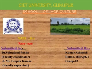 GIET UNIVERSITY, GUNUPUR
Rawe -2021
Submitted to:- Submitted By:-
Dr.Subrajyoti Panda Kumar Ashutosh
(Faculty coordinator) Rollno. 18BAg021
& Mr. Deepak Kumar Group-03
(Faculty supervisor)
 