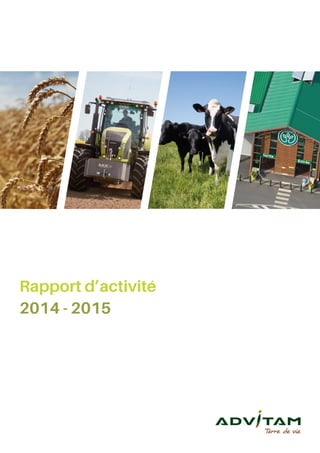 Rapport d’activité
2014 - 2015
 