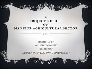 A 
PROJECT REPORT 
ON 
MANIPUR AGRICULTURAL SECTOR 
SUBMITTED BY: 
NAOREM DIANA DEVI 
(11112366) 
LOVELY PROFESSIONAL UNIVERSITY 
 