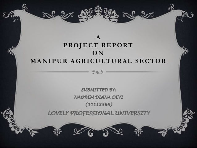 A Project report on agricultural sector of Manipur