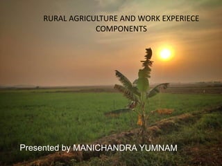 RURAL AGRICULTURE AND WORK EXPERIECE
COMPONENTS
 