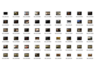 Raw footage files.