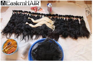 Combed Russian Human Hair in Light Blonde and Virgin Dark Colors