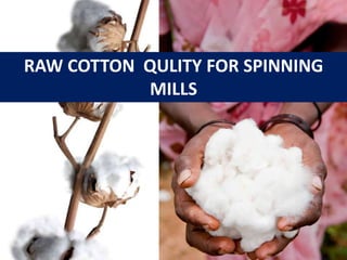 RAW COTTON QULITY FOR SPINNING
MILLS
 
