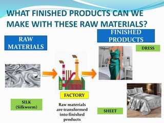 Raw materials finished products animals | PPTX