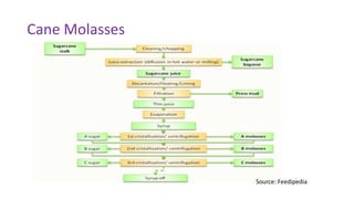 Raw materials in fermentation | PPT