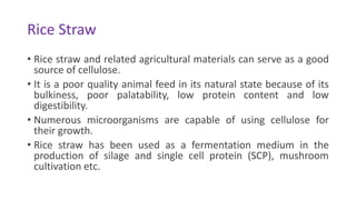 Rice Straw
• Rice straw and related agricultural materials can serve as a good
source of cellulose.
• It is a poor quality animal feed in its natural state because of its
bulkiness, poor palatability, low protein content and low
digestibility.
• Numerous microorganisms are capable of using cellulose for
their growth.
• Rice straw has been used as a fermentation medium in the
production of silage and single cell protein (SCP), mushroom
cultivation etc.
 
