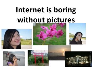 Internet is boring
 without pictures
 