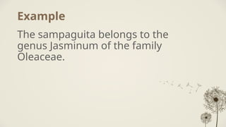 Example
The sampaguita belongs to the
genus Jasminum of the family
Oleaceae.
 