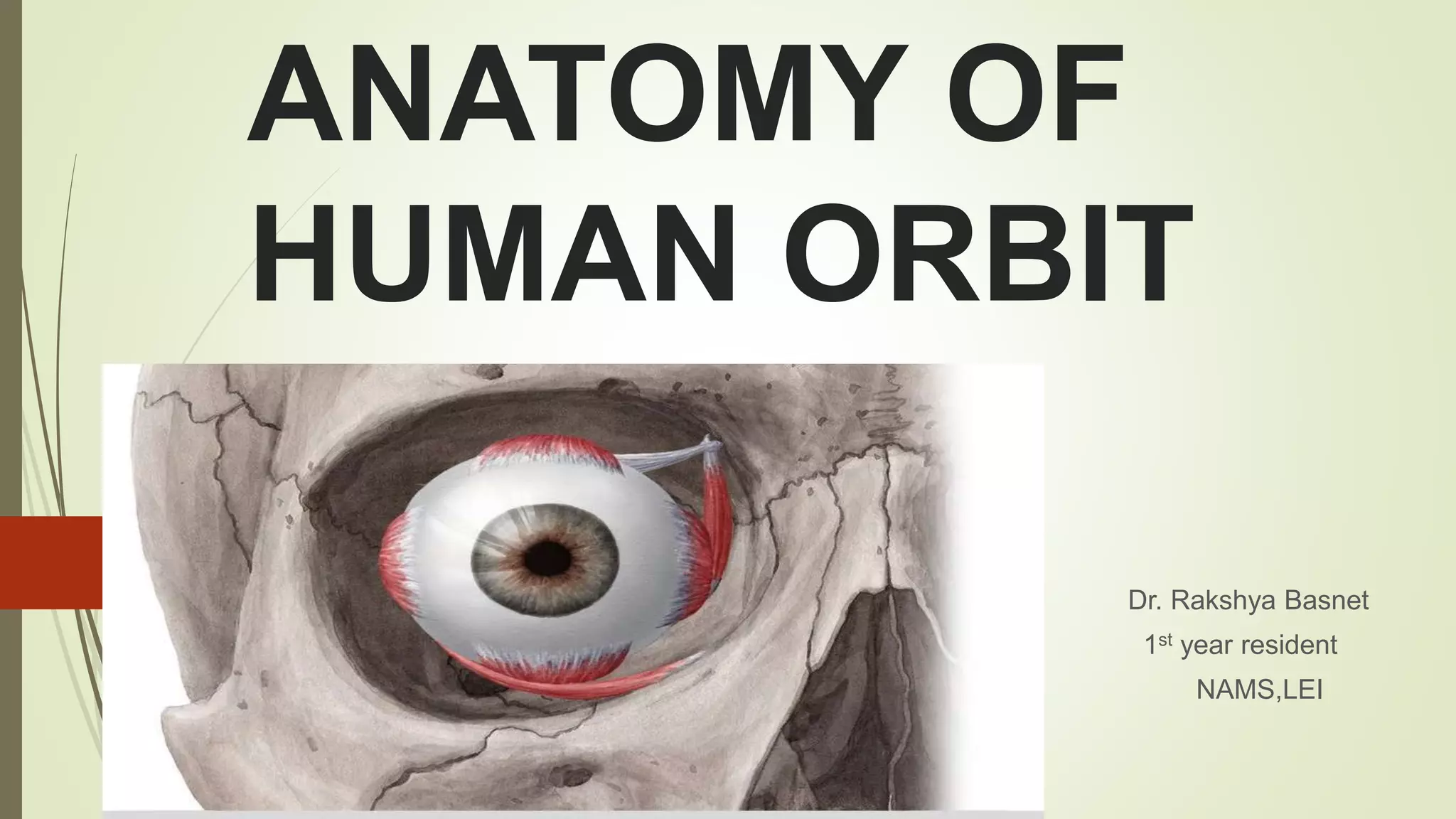 Anatomy of human orbit | PPTX