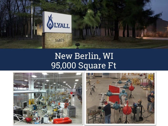 Lyall 2015 company overview