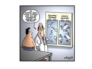 Ray.bane 1300 poursourire