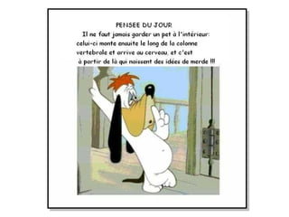 Ray.bane 1300 poursourire