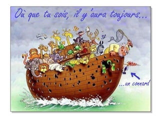 Ray.bane 1300 poursourire