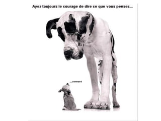 Ray.bane 1300 poursourire