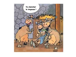 Ray.bane 1300 poursourire