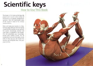 Ray-Long-Scientific-Keys_-The-Key-Muscles-of-Hatha-Yoga.-Volume-1-Bandha- Yoga-2006.