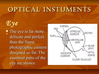 OPTICAL INSTUMENTSOPTICAL INSTUMENTS
 The eye is far moreThe eye is far more
delicate and perfectdelicate and perfect
than the finestthan the finest
photographic cameraphotographic camera
designed so far. Thedesigned so far. The
essential parts of theessential parts of the
eye are shown.eye are shown.
Eye
:
 