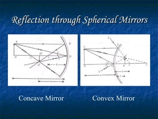 Reflection through Spherical MirrorsReflection through Spherical Mirrors
Concave Mirror Convex Mirror
 