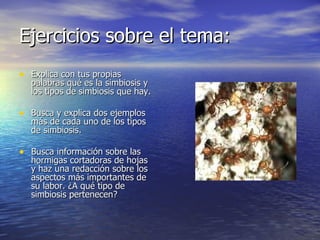 Ejercicios sobre el tema: Explica con tus propias palabras qué es la simbiosis y los tipos de simbiosis que hay. Busca y explica dos ejemplos más de cada uno de los tipos de simbiosis. Busca información sobre las hormigas cortadoras de hojas y haz una redacción sobre los aspectos más importantes de su labor. ¿A qué tipo de simbiosis pertenecen? 