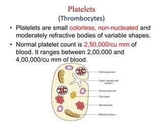 Basics of Haematology | PDF