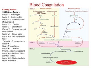 Basics of Haematology | PDF