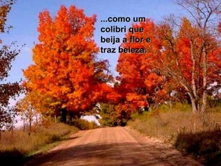 ...como um colibri que beija a flor e traz beleza.  