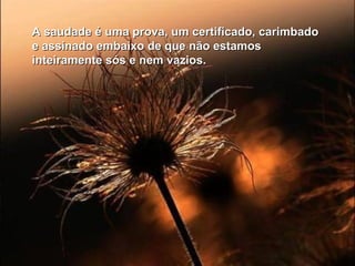 A saudade é uma prova, um certificado, carimbadoA saudade é uma prova, um certificado, carimbado
e assinado embaixo de que não estamose assinado embaixo de que não estamos
inteiramente sós e nem vazios.inteiramente sós e nem vazios.
 
