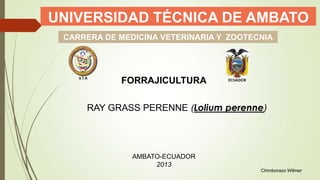 UNIVERSIDAD TÉCNICA DE AMBATO
CARRERA DE MEDICINA VETERINARIA Y ZOOTECNIA

U.T.A

FORRAJICULTURA

ECUADOR

RAY GRASS PERENNE (Lolium perenne)

AMBATO-ECUADOR
2013
Chimborazo Wilmer

 