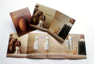 Ray Klempka Print Portfolio