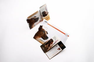 Ray Klempka Print Portfolio