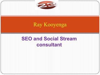 Ray Kooyenga

SEO and Social Stream
     consultant
 