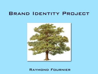 Brand Identity Project




     Raymond Fournier
 
