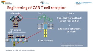 First-in-Human Chimeric antigen receptor (CAR) T cell Therapies ...