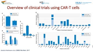 Overview of clinical trials using CAR-T cells
Jessica Hartmann et al. EMBO Mol Med. 2017
 