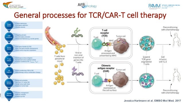 Supercharging Adoptive T Cell Therapy To Overcome Solid Tumor Induced Immunosuppression Science Translational Medicine