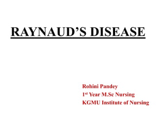 RAYNAUD’S DISEASE
Rohini Pandey
1st Year M.Sc Nursing
KGMU Institute of Nursing
 