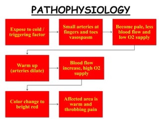 PATHOPHYSIOLOGY
Expose to cold /
triggering factor
Small arteries at
fingers and toes
vasospasm
Become pale, less
blood flow and
low O2 supply
Warm up
(arteries dilate)
Blood flow
increase, high O2
supply
Color change to
bright red
Affected area is
warm and
throbbing pain
 